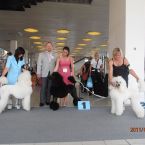 aisha-bob-brno_800.jpg aisha-bob-brno_800.jpg